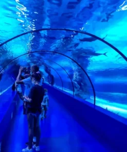 Kirándulás az Antalyai Akváriumba