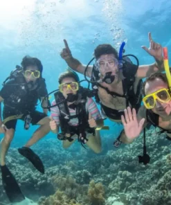 Búvárkodás Alanyában