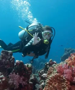 Búvárkodás Kemerben