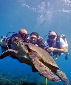 Búvárkodás Side-Ban