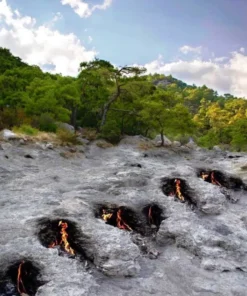 Éjszakai Szafari És Tűz Az Olymposon