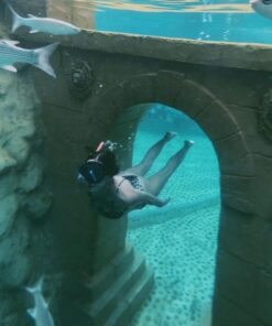 Sealanya Seapark + delfín šou