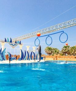 Sealanya Seapark + delfín šou