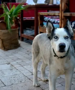 Manavgati Kirándulás