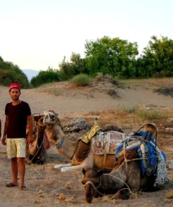 Manavgati Kirándulás