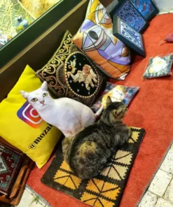 Manavgati Kirándulás