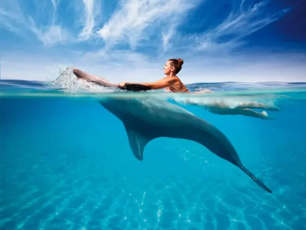 Sealanya Delfinárium - Úszás Delfinekkel