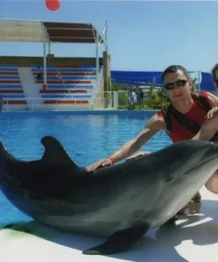 Sealanya Delfinárium - Úszás Delfinekkel