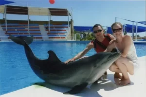 Sealanya Delfinárium - Úszás Delfinekkel