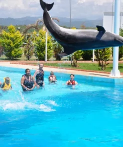 Sealanya Delfinárium - Úszás Delfinekkel